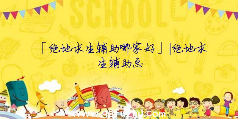「绝地求生辅助哪家好」|绝地求生辅助总